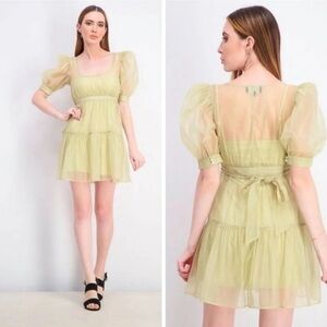 NWT ✨Danielle Bernstein Organza Dress 👗 ✨